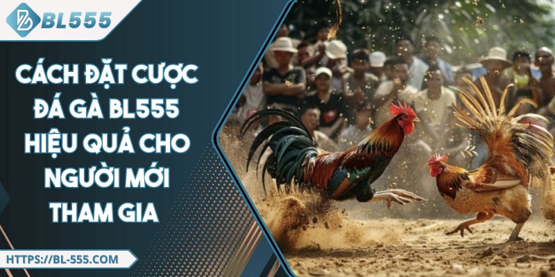 Cách Đặt Cược Đá Gà BL555 Hiệu Quả Cho Người Mới Tham Gia 