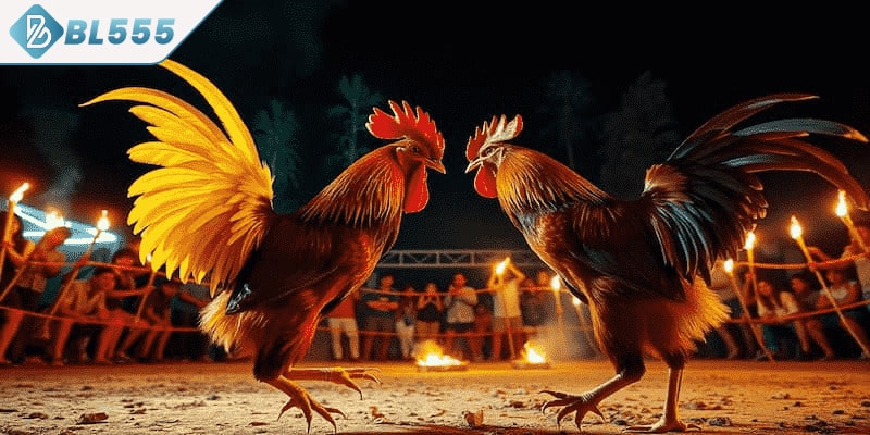 Lưu ý quan trọng khi đặt cược